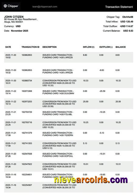 Nigeria Chipper transaction statement Word and PDF